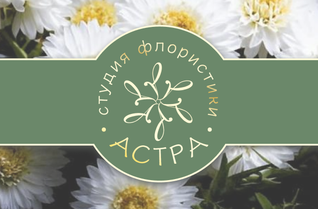 Фирменный стиль ASTRA